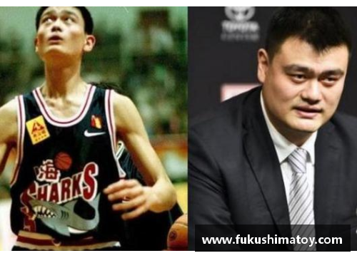 体育明星与职业选手：角色定位与影响力的终极对比分析